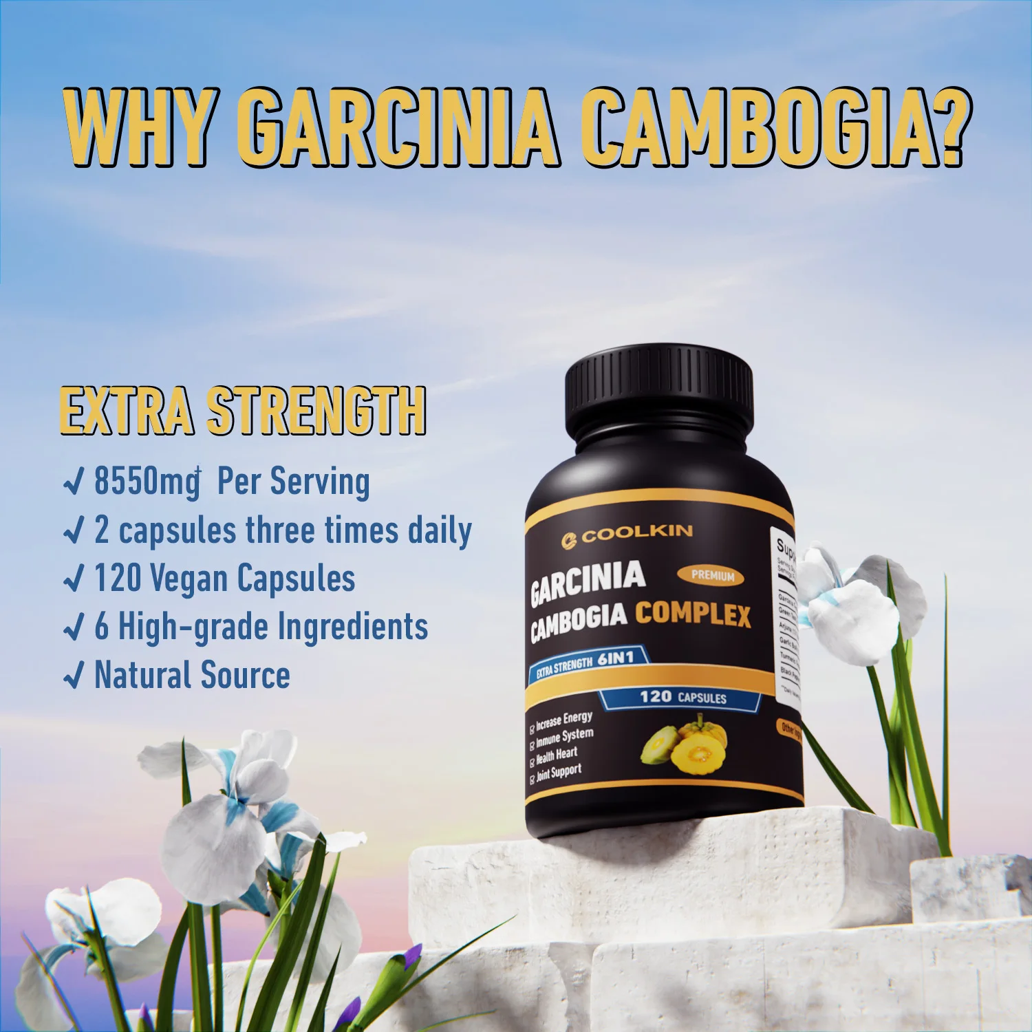 Garcinia Cambogia - Fat Burner - Garcinia Cambogia Extract 评论和价格
